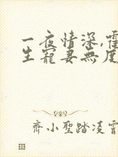 一夜情深,霍先生宠妻无度完本