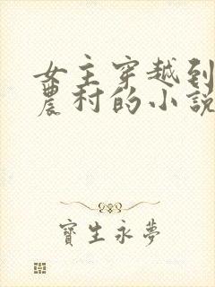 女主穿越到古代农村的小说