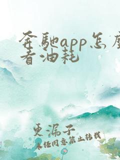 奔驰app怎么看油耗