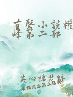 有声小说权力巅峰第二部