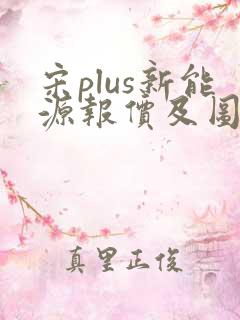 宋plus新能源报价及图片大全价格表