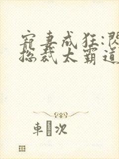 宠妻成狂:闪婚总裁太霸道