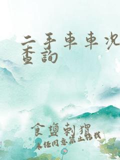 二手车车况记录查询