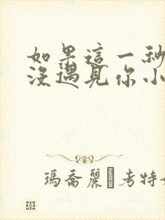 如果这一秒,我没遇见你小说完整版