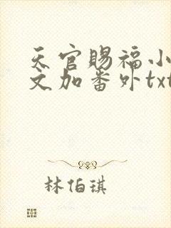 天官赐福小说全文加番外txt