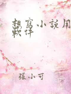 想写小说用什么软件