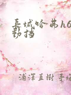 长城哈弗h6手动挡