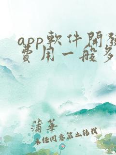 app软件开发费用一般多少钱