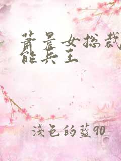 萧晨女总裁的全能兵王