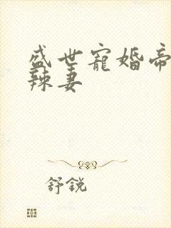 盛世宠婚帝少小辣妻