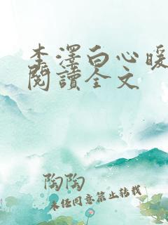 李泽白心暖小说阅读全文