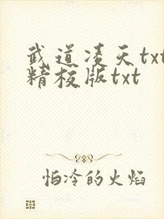 武道凌天txt精校版txt