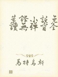 叶锋小说免费阅读无弹窗全文