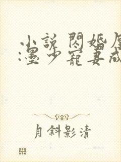 小说 闪婚厚爱:墨少宠妻成瘾