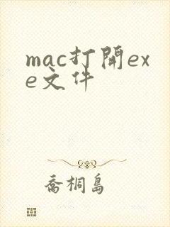 mac打开exe文件