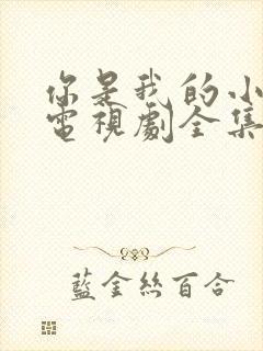 你是我的小确幸电视剧全集免费观看高清