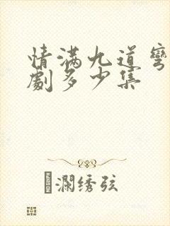 情满九道弯电视剧多少集