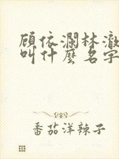 顾依澜林澈小说叫什么名字