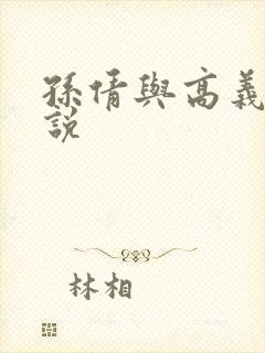 孙倩与高义的小说