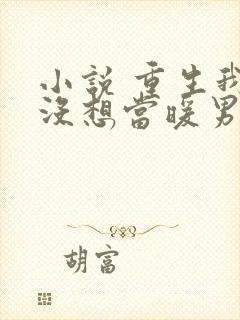 小说 重生我真没想当暖男