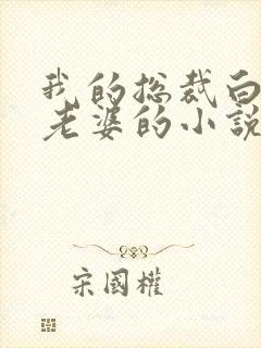 我的总裁白富美老婆的小说免费阅读