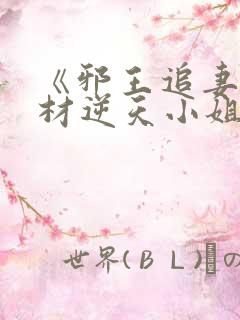 《邪王追妻:废材逆天小姐》txt