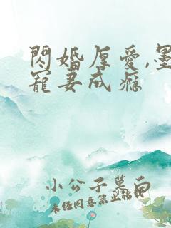 闪婚厚爱,墨少宠妻成瘾