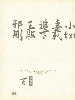 邪王追妻小说未删版下载txt