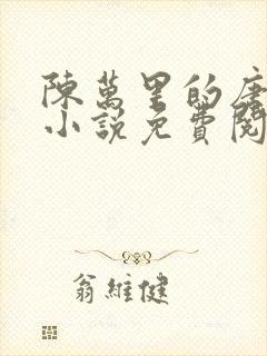 陈万里的唐嫣然小说免费阅读