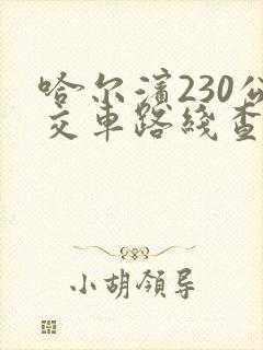 哈尔滨230公交车路线查询查