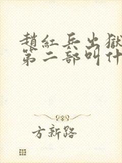 赵红兵出狱后的第二部叫什么