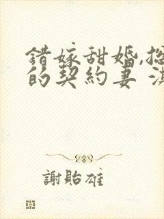 错嫁甜婚,总裁的契约妻 淇沅