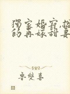 独家婚宠,总裁的再嫁甜妻