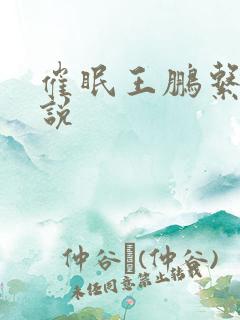 催眠王鹏系列小说