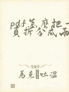 pdf怎么把一页拆分成两页