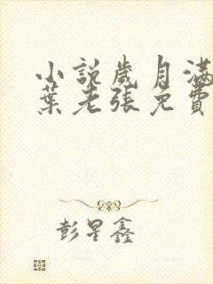 小说岁月满情柳叶老张免费阅读