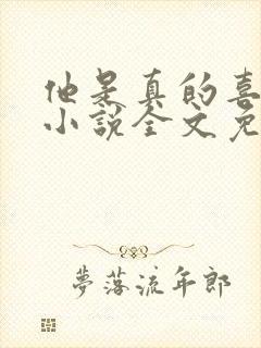 他是真的喜欢你小说全文免费阅读