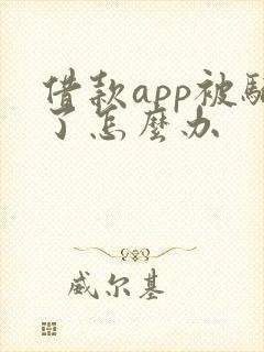 借款app被骗了怎么办