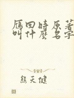 雁回时原著小说叫什么名字