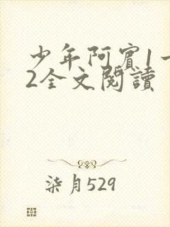 少年阿宾1一72全文阅读