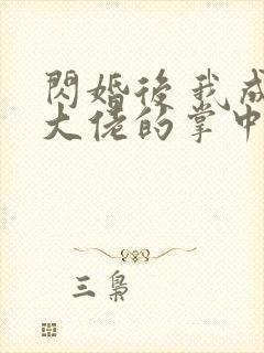 闪婚后 我成了大佬的掌中之物