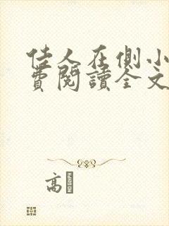 佳人在侧小说免费阅读全文无弹窗