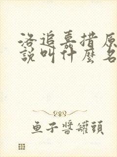 洛追嘉措原著小说叫什么名字