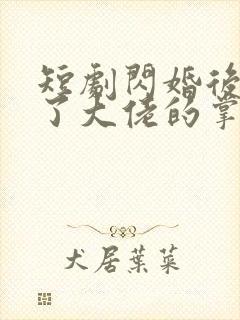 短剧闪婚后我成了大佬的掌中之物全集