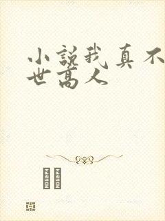 小说我真不是隐世高人