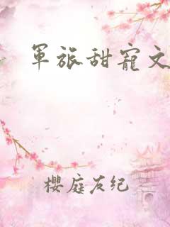 军旅甜宠文推荐
