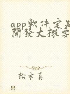 app软件定制开发大概要多少钱