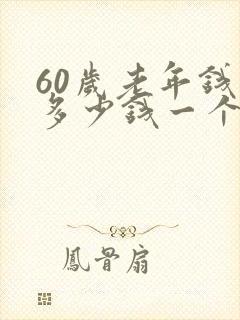 60岁老年钱是多少钱一个月