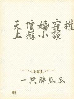 天价婚宠权少赖上瘾小说