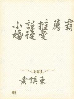 小说推荐霸总先婚后爱